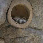 FITS_222 (May 04, 2019)